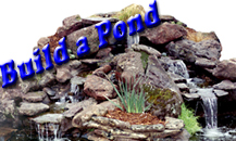 pondwithwhitesm.jpg (36647 bytes)