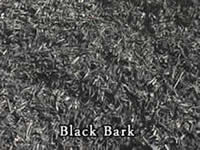 Black Bark from Vic Hannan